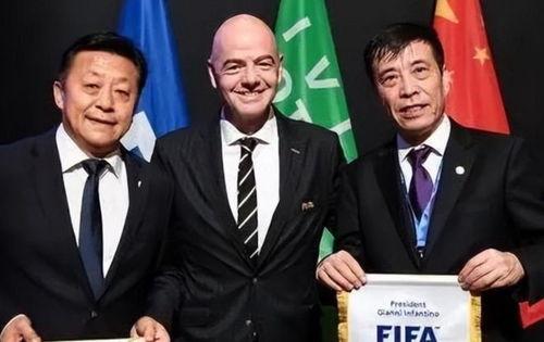 体育刘凯爆料视频,独家视频揭秘不为人知的幕后故事  第1张